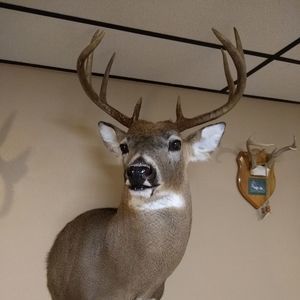 Meet your Posher, Robert